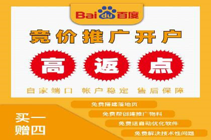 关键词竞价排名实战案例分析及优化
