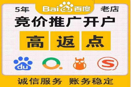 SEM推广案例：揭秘高ROI背后的策略与实践
